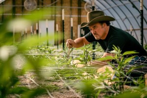 Džim Beluši postao pravi poljoprivrednik - uzgaja marihuanu?
