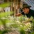 Jim Belushi postao pravi poljoprivrednik - uzgaja marihuanu