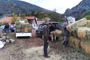 Najbolje sijeno na svijetu košta do 250 eura po toni - po čemu je posebno?