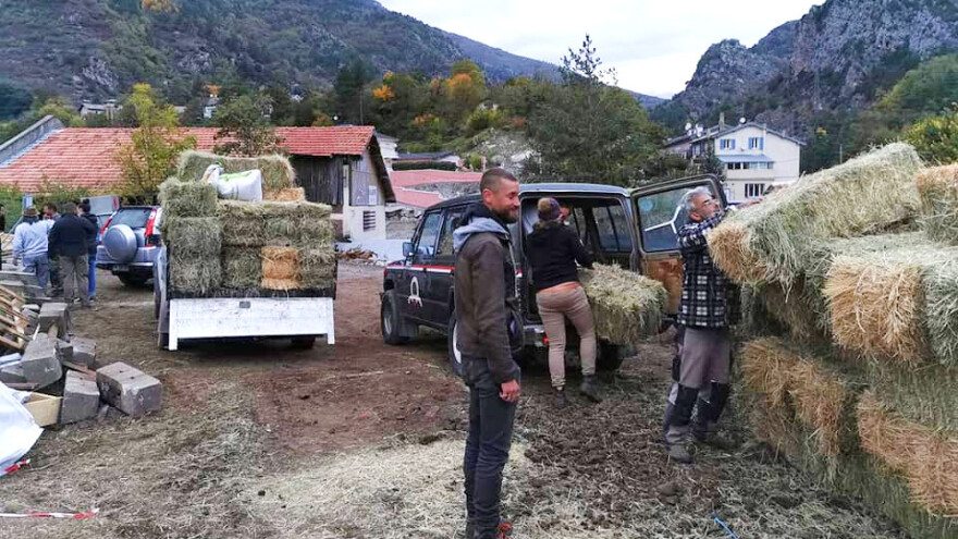 Najbolje sijeno na svijetu košta do 250 eura po toni - po čemu je posebno?