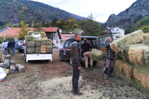 Najbolje sijeno na svijetu košta do 250 eura po toni - po čemu je posebno?