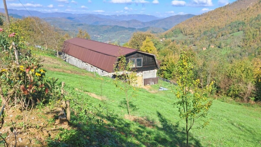 Koka nosilja kao pokretač razvoja: Muhidin ulaže u selo Baljiće