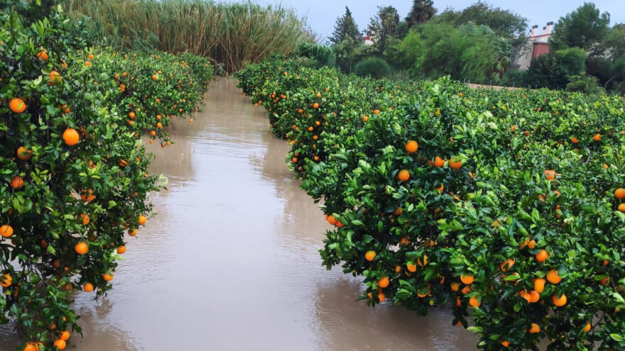 Obilne kiše nanijele 62 milijuna eura štete - najviše stradali agrumi