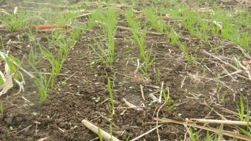 Analizirajte zemljište na azot!