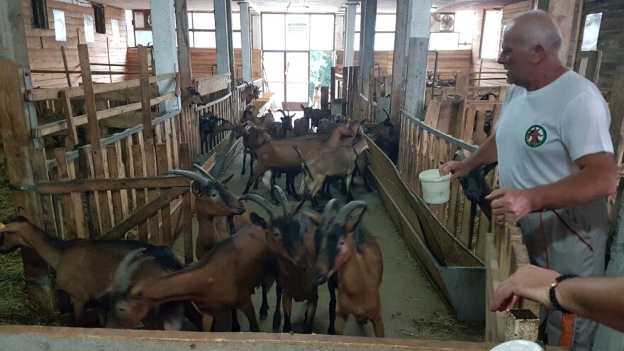 Pravi recept za kozji sir obezbedio im sigurno mesto na tržištu