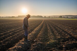 13 javnih poziva za zakup zemljišta u lipnju
