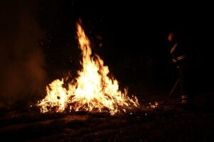 Svakog dana u Hrvatskoj bukne 30 požara: Biljni otpad kompostirajte - ne palite!