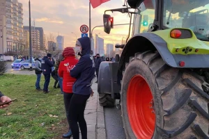 Poljski poljoprivrednici stali na granicu i brojali kamione sa svinjama iz Nemačke