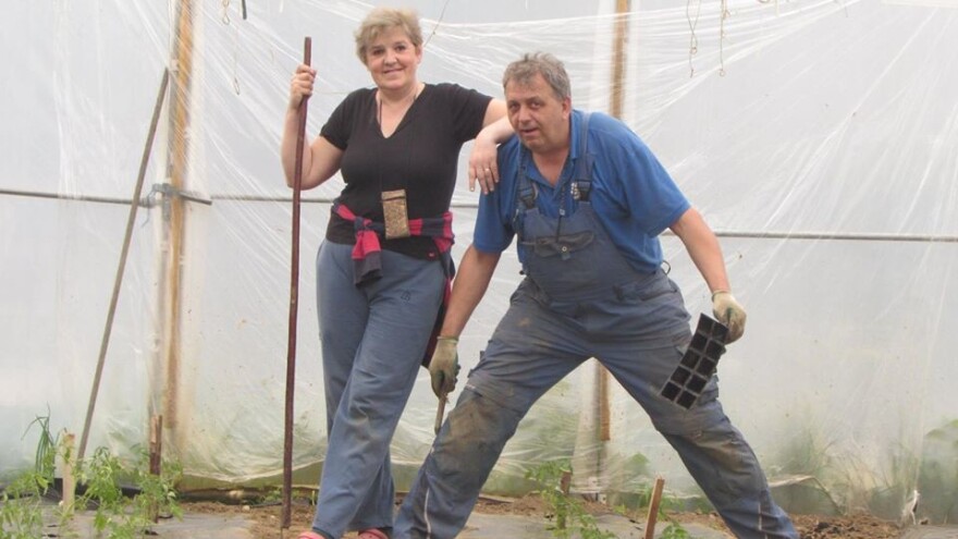 Ibrahim i Jasminka Ajanović podmlađuju se uz posao u plasteniku