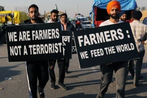 Rekordna žetva: Indijske farmere nije sprečio ni COVID ni protesti