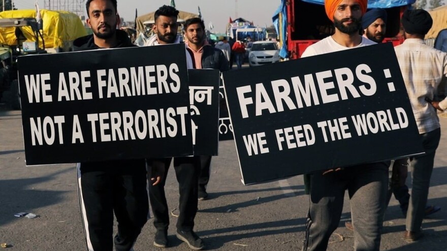 Rekordna žetva: Indijske farmere nije sprečio ni COVID ni protesti