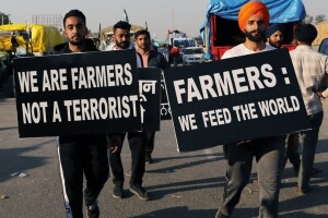 Rekordna žetva: Indijske farmere nije spriječio ni Covid ni prosvjedi