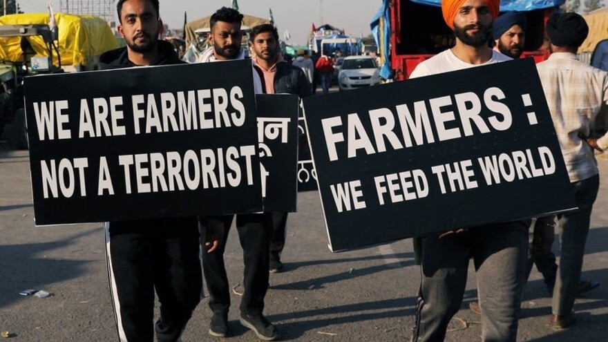 Rekordna žetva: Indijske farmere nije spriječio ni Covid ni prosvjedi
