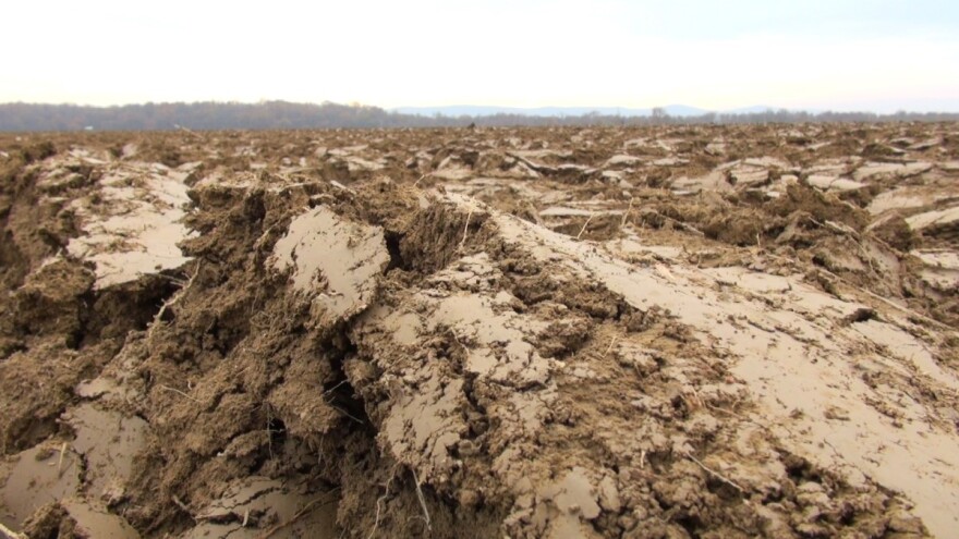 Za analizu tla potrebno je uzeti što veći broj uzoraka