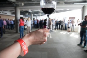 Prijavite se za posetu 9. Wine Style salonu