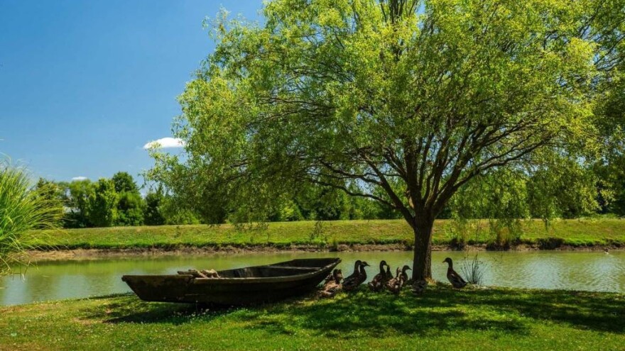 LAG Zapadna Slavonija: jačanje konkurentnosti poljoprivrednih proizvođača