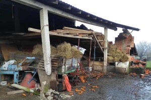 OPG-ovima na pogođenom području žurna isplata izravne potpore