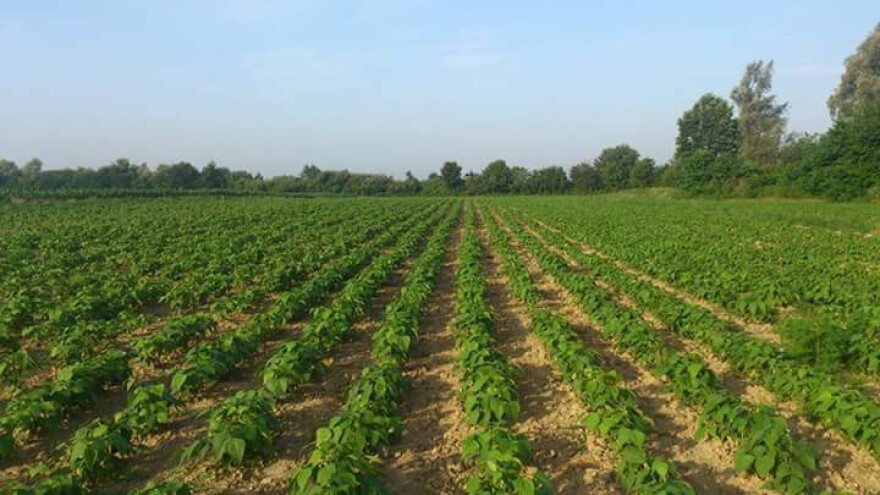 Nedovoljno mladih je u poljoprivredi, a nije da ne žele