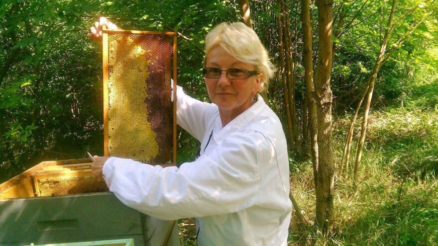 Zašto pčelari ne rade dekristalizaciju meda?