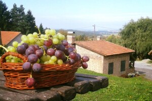 Okusi hrvatske tradicije: Okusi Bjelovarsko-bilogorskog kraja