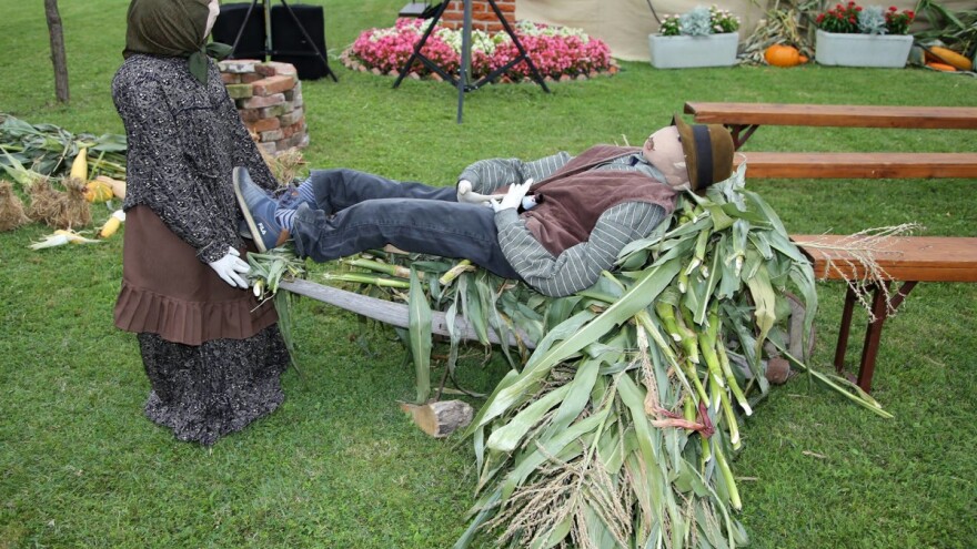 Tradicionalna kukuruzijada u Čepinskim Martincima