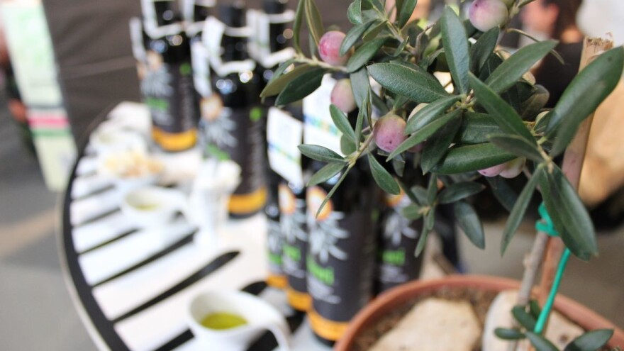 EK u suradnji s državama članicama staje na kraj patvorenju maslinovog ulja?