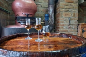 Dobra rakija nastaje od zrelog voća, a kvalitet potvrđuju nagrade
