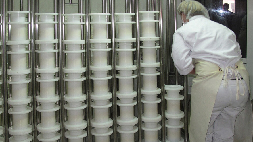 Sirevi Melite Pokorni hit u Istri i Sloveniji