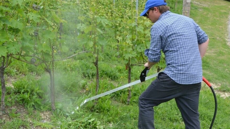 Alternativa glifosatu: Protiv korova biljnom penom, strujom i elektromagnetskim talasima