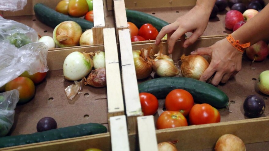 Smeđi medvjedi, povrće "ružnijeg" izgleda i prevencija šumskog požara dobili nagradu LIFE