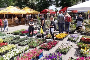Otvoren Floraart: Izlagača manje, ali proizvođači i ljubitelji cvijeća napokon su došli na svoje