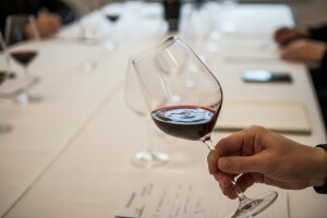 15. ocjenjivanje vina u Feričancima