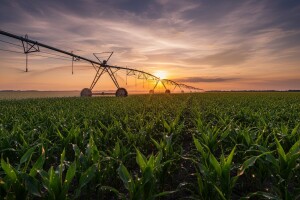 1.500 ha malih OPG-a dobit će navodnjavanje