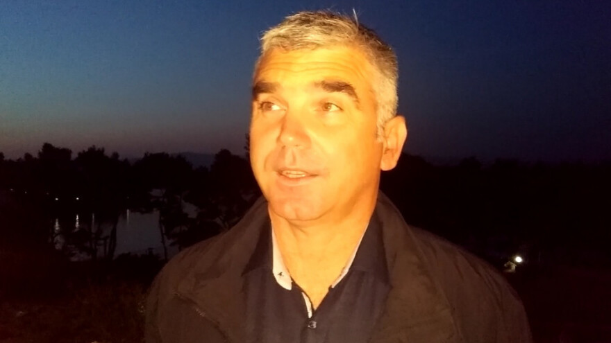 Od 30.000 stabala maslina, ne ostane ni litra ulja - sve prodaju