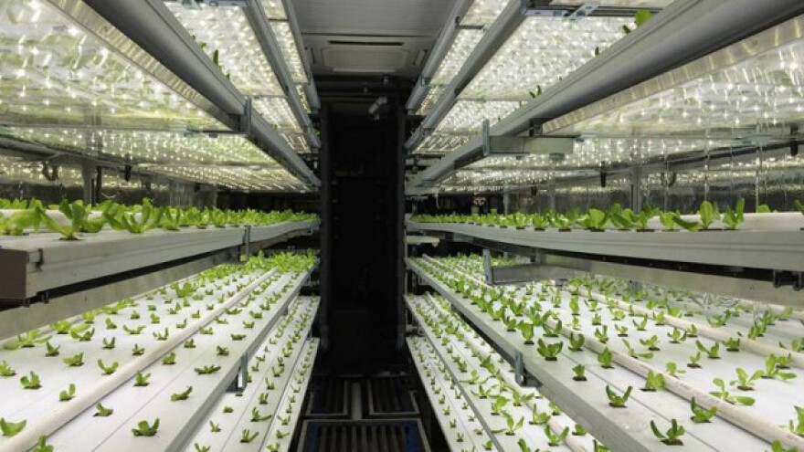 Sade voće i povrće u kontejnerima