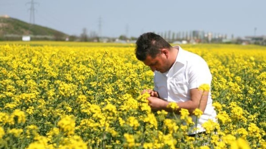 KWS rezultati pokusa kriju vrhunske hibride!