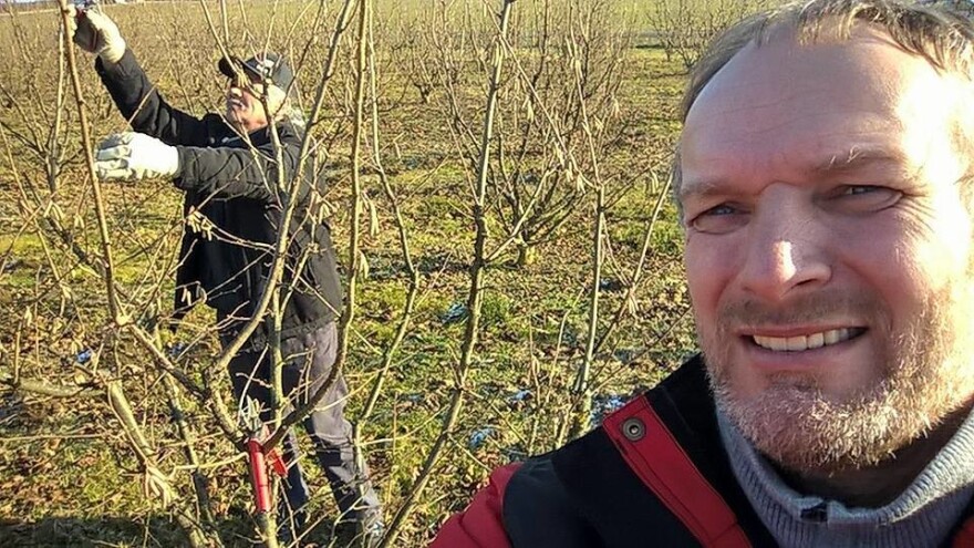 OPG Tomašić: Mnogi kreću u proizvodnju lješnjaka, a da nisu svjesni što ih sve očekuje