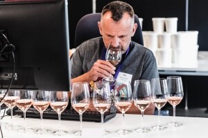 Decanter poništava prijave ruskih vinara - odriču se naknada za sudjelovanje ukrajinskih