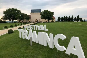 Dođite u Ilok na Festival traminca!
