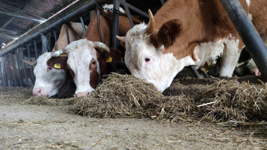 U Dubravi niče 53 milijuna kuna vrijedan Regionalni centar za razvoj stočarstva