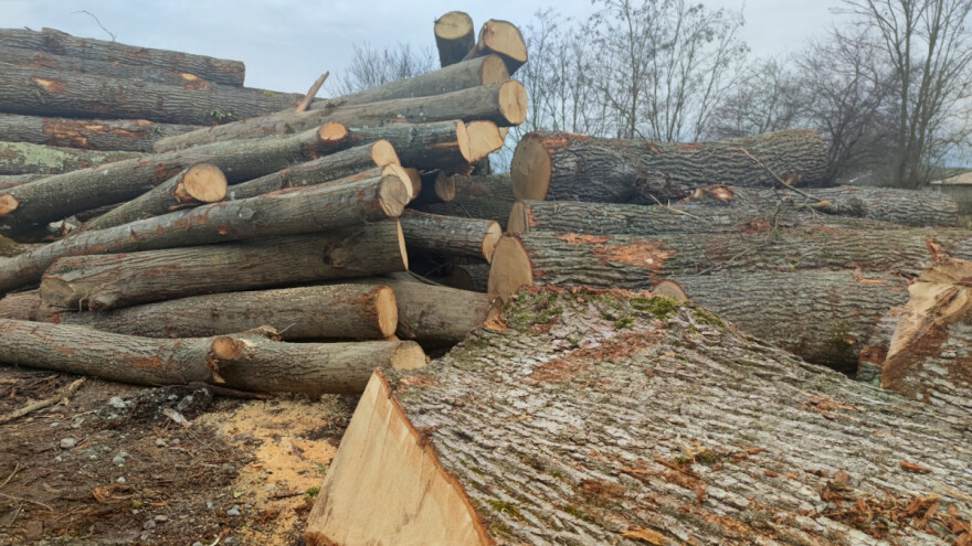 Ministarstvo najavilo poticajne mjere za razvoj drvno-prerađivačke industrije