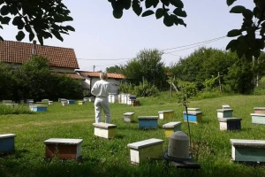 Ekonomistkinja u pčelarstvu koja se ne osvrće na zakone tržišta