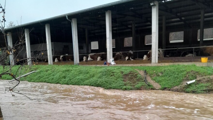 Potop u selima oko Gradiške - ugroženo 400 goveda