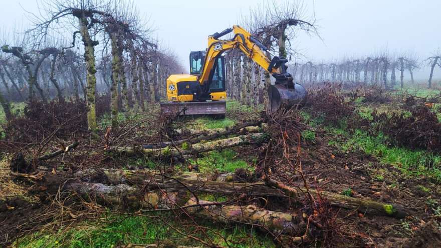Voćari čupali stabla jabuka u znak prosvjeda