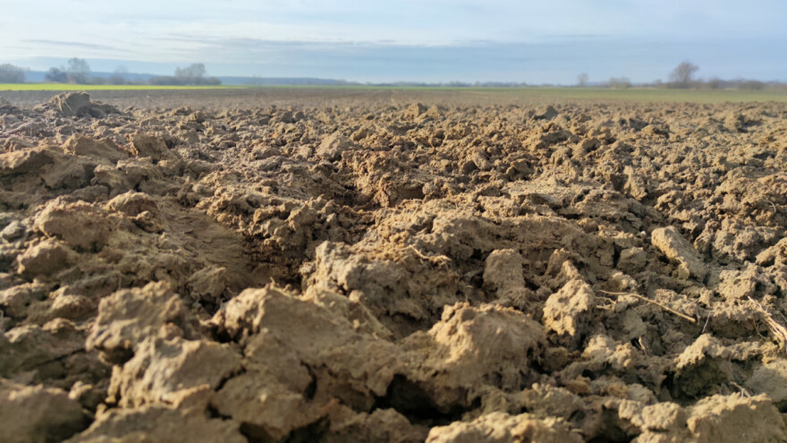 Pripremljen 31 novi javni natječaj za zakup poljoprivrednog zemljišta