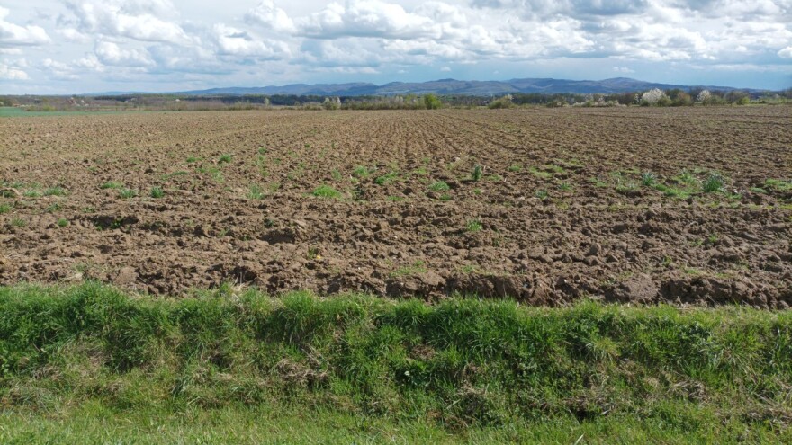 Šta je plodored i zbog čega ga treba primjenjivati?