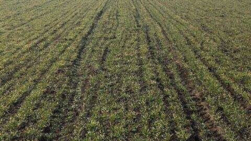 Bez kredita ovog proleća