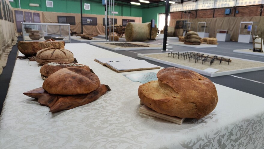 Miris istorije: Kakvog je ukusa praistorijska pšenica, a tek pivo?