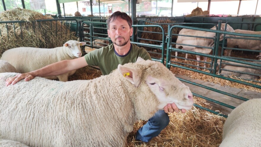 Sin birao, ovan Soko pehar dobio!