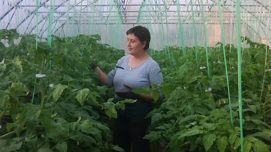 OPG Krebs: Jeftin uvoz i čekanje naplate guše domaću proizvodnju